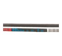Cinghia Lavatrice Candy Standard Compatibile con Ariston Merloni 3l-497