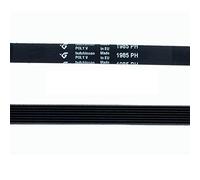 Cinghia Lavatrice compatibile con Bauknecht Ocean 1985 H-8 ranurada
