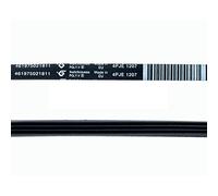 Cinghia Lavatrice Whirlpool 1207 J-4 awt2052 awt2558 481235818204