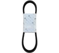 CINGHIA LIBERTY 50 2T 4T TYPHOON FLY DNA SCARABEO ORIGINALE PIAGGIO 1A013579