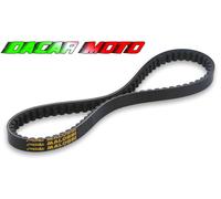 CINGHIA MALOSSI PIAGGIO SFERA 75 2T 617229