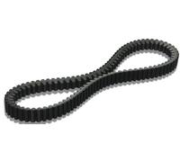 Cinghia MALOSSI X Kevlar Belt Yamaha majesy 400 MALOSSI Rif: 6112960