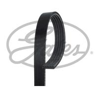 GATES 5PK1153 Cinghia servizi Cinghia Poly-V Cinghia alternatore Cinghia dei servizi