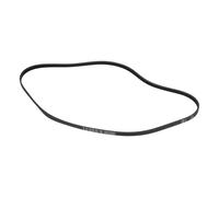 Cinghia Multi-V 1239pj5e Midea 12638100000251 Per Lavatrice Nero 12 mm