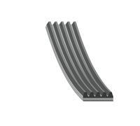 Cinghia Multi V 5 Coste Febi 28856 1145 mm EPDM