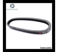 Cinghia Per Arctic Cat Jag 440 AFS Deluxe Del 1990 E 1991