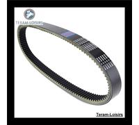 Cinghia Per Arctic Cat JAG Mountain Cat Del 1990 E 1991