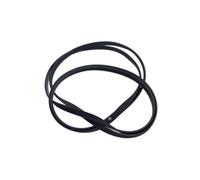 Cinghia per Asciugatrice H6 Poly V, 1991, Codice dell’Articolo: C00116358