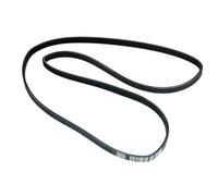 Cinghia per asciugatrice Hotpoint Creda Indesit Contitech EPH1860 732EH