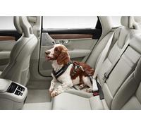 Cinghia per cani VOLVO fino a 15 kg per il sedile posteriore