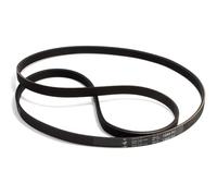 Cinghia per lavatrice 1244PJ -contabile multimarca 2816750200-481935810047 - 51X7680
