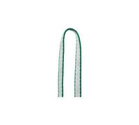 Petzl St' Anneau 24 Cm 21 - Fettuccia arrampicata - Bianco/verde [Taglia : Unique]