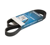 Cinghia poli v DAY6PK1178