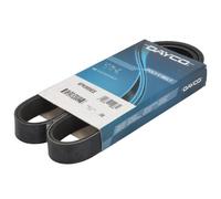 Cinghia poli v DAY6PK989EE