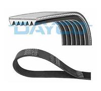 Cinghia Poli-v DAYCO - 6PK975