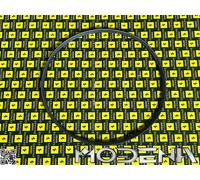 Cinghia Poly Per Pompa Dell'Acqua Ferrari 308 QV 328 Mondial 3.2 QV 288GTO