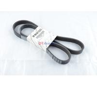 CINGHIA POLY V 6 GOLE FIAT BRAVO STILO 1.9 cc JTD - FIAT 71739512