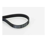 Cinghia trapezoidale multirighe 6PK1270 CONTINENTAL CTAM per VOLVO FORD FIAT