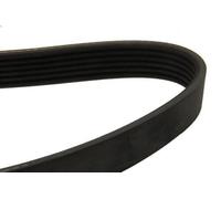 CINGHIA POLY-V 6PK1325 PER ALFA ROMEO MITO FIAT 500L/500X G.PUNTO QUBO FORD