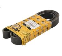 Cinghia poly-V ANAC MAKINA 320-08646-AN