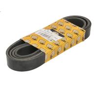 Cinghia poly-V ANAC MAKINA 320-08647-AN