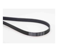 Cinghia Poly-V Audi 100 1990-1994 100 Avant 1991-1994 Porsche 911 2006-2009