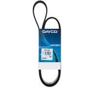 Cinghia Poly-V Ausiliaria Dayco per Cadillac XLR 4.4i 06/2007 > 06/2009 8PK1295