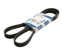 Cinghia poly-V BOSCH 1 987 945 703 per PEUGEOT 4008 1.8 2012-