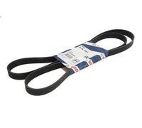 Cinghia Poly-V BOSCH 1 987 945 983 per CITROEN XM (Y4) 2.5 1994-2
