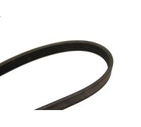 Cinghia poly-V BOSCH 1 987 946 026 per BMW 5 (E39) 3 1998-2