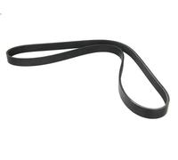 Cinghia poly-V BOSCH 1 987 946 089 per AUDI A3 (8P1) 3.2 2003-2009