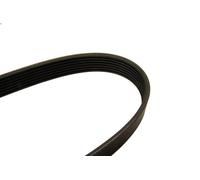 Cinghia poly-V BOSCH 1 987 946 092 per LAND ROVER DISCOVERY I (LJ) 2.5 1989-1998
