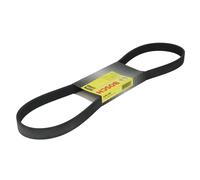 Cinghia Poly-V BOSCH 1 987 946 128