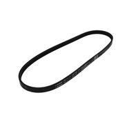 Cinghia Poly-V Elastica BOSCH 1 987 946 129