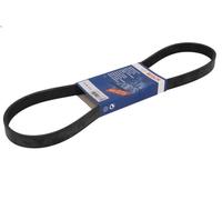 Cinghia poly-V BOSCH 1 987 946 154 per FORD FIESTA VI Van 1.4 2008-2012