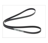 Bosch Cinghia Scanalata Galoppino per Opel Astra G Corsa D Vectra C 1.6 1.8