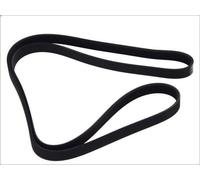 Cinghia Poly-V BOSCH 1 987 946 244 per ALFA ROMEO GT (937_) 2 2003-201