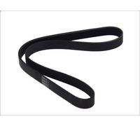 Cinghia poly-V BOSCH 1 987 946 248 per BMW 8 (E31) 5.4 1994-1999