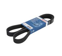 BOSCH 1 987 946 252 Cinghia Poly-V