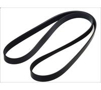 Cinghia poly-V BOSCH 1 987 946 256 per RENAULT ESPACE IV (JK0/1_) 2 2002-2015