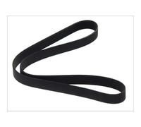 BOSCH Cinghia Poly-V 1 987 946 266 MAZDA,DAF,3 (BK),5 (CR19),6 Station Wagon (GY),6 (GG),3 Tre volumi (BK),6 Hatchback (GG),CF 65,LF 45,LF 55