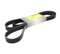 Cinghia Poly-V BOSCH 1 987 946 284