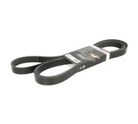 Cinghia Poly-V BOSCH 1 987 946 285