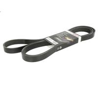 Cinghia poly-V BOSCH 1 987 946 285 per DISCOVERY II (L318) 4 1998-2004