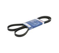 Cinghia Poly-V BOSCH 1 987 946 290