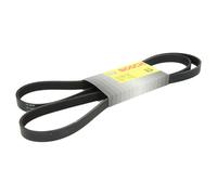 Cinghia Poly-V BOSCH 1 987 946 292