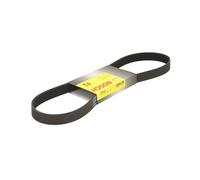 Cinghia Poly-V BOSCH 1 987 946 298