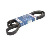 Cinghia Poly-V BOSCH 1 987 947 555