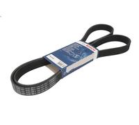 Cinghia Poly-V BOSCH 1 987 947 562 per NISSAN QASHQAI +2 (JJ10E) 1.6 2010-2013