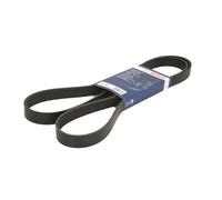 Cinghia Poly-V BOSCH 1 987 947 565